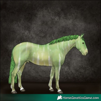 Horse Color:Watercolor Brown Ice Pearl Varnish 
