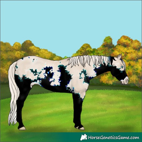 Horse Color:White Spotted Chocolate Palomino Pearl Splash 