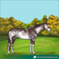 Horse Color:Platinum White Spotted Chocolate Brown Onyx