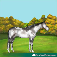 Horse Color:Platinum White Spotted Brown Onyx 