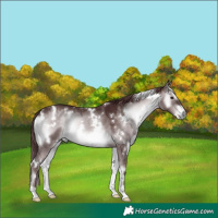 Horse Color:Platinum White Spotted Chocolate Brown Onyx 