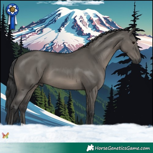 Horse Color:Grullo 