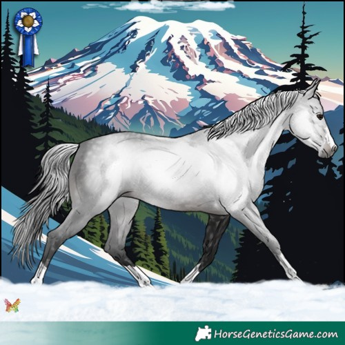 Horse Color:Gray Brown Rabicano 