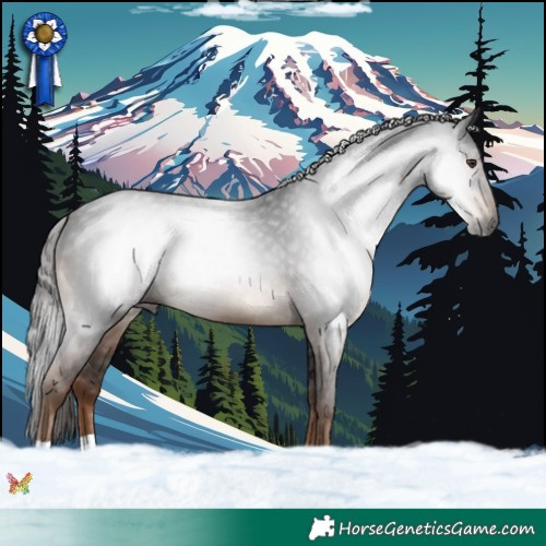 Horse Color:Gray Liver Chestnut 