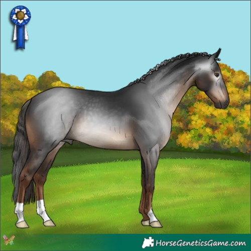 Horse Color:Gray Liver Chestnut 