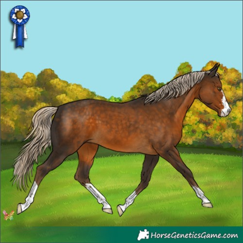 Horse Color:Chocolate Palomino 
