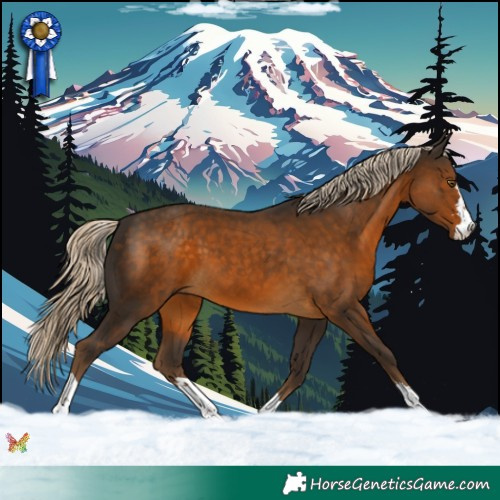 Horse Color:Chocolate Palomino 