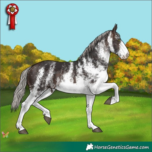 Horse Color:White Spotted Silver Brown 