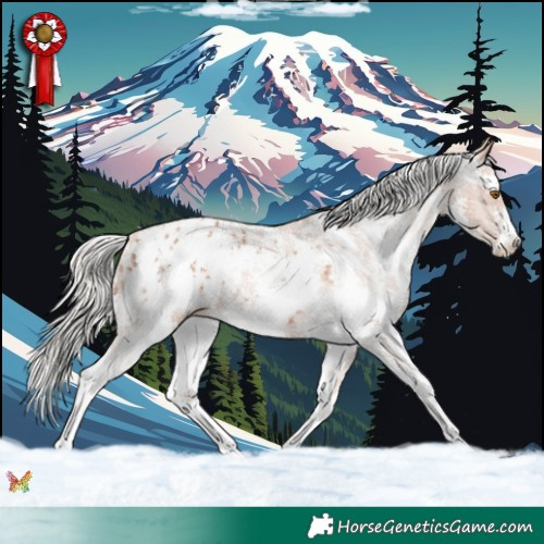 Horse Color:Silver Black Pearl Sabino Appaloosa 