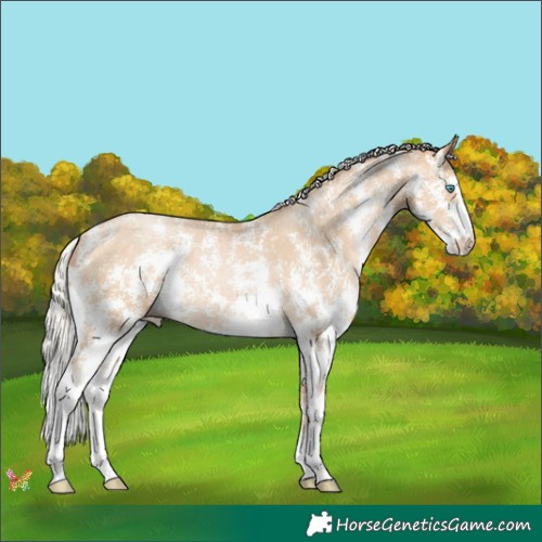 Horse Color:Silver Buckskin Pearl Sabino 