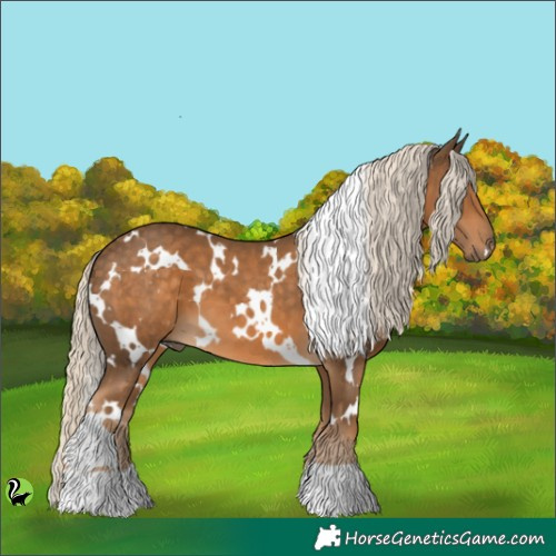 Horse Color:White Spotted Chocolate Palomino 