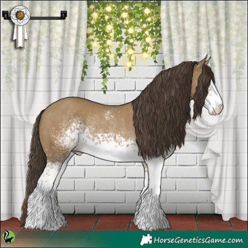 Horse Color:White Spotted Classic Cream Champagne Rabicano 