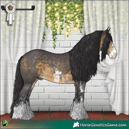 Horse Color:Buckskin Sabino Rabicano 