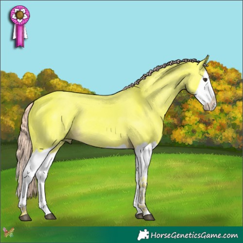 Horse Color:Watercolor Liver Chestnut Splash Rabicano 