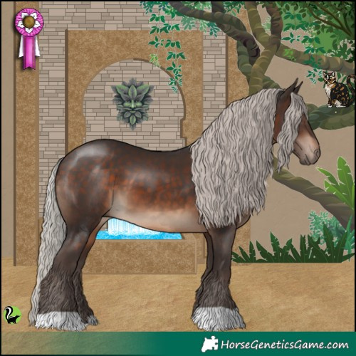 Horse Color:Silver Brown 