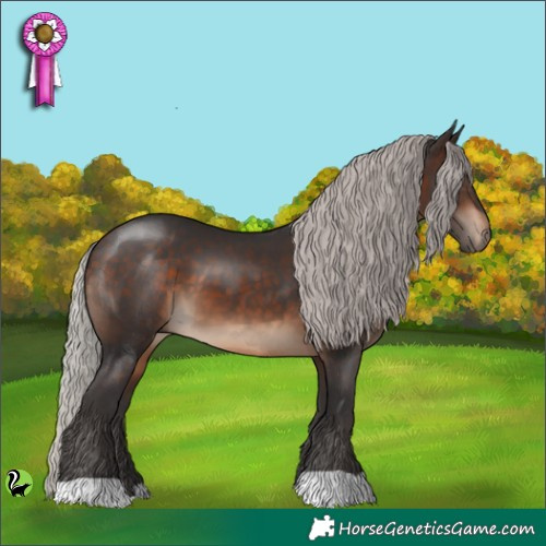 Horse Color:Silver Brown 