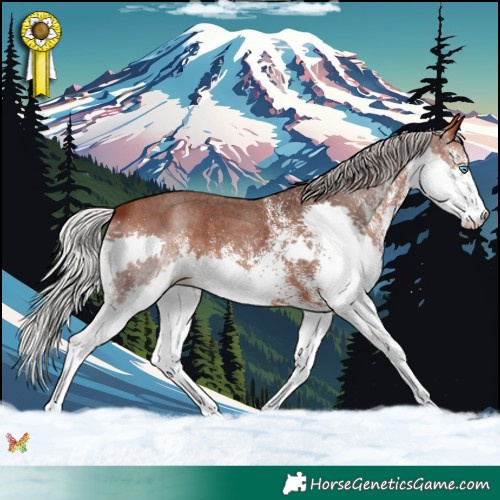Horse Color:White Spotted Silver Brown Splash 
