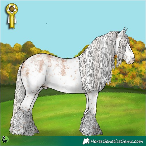 Horse Color:White Spotted Silver Brown Pearl Sabino 