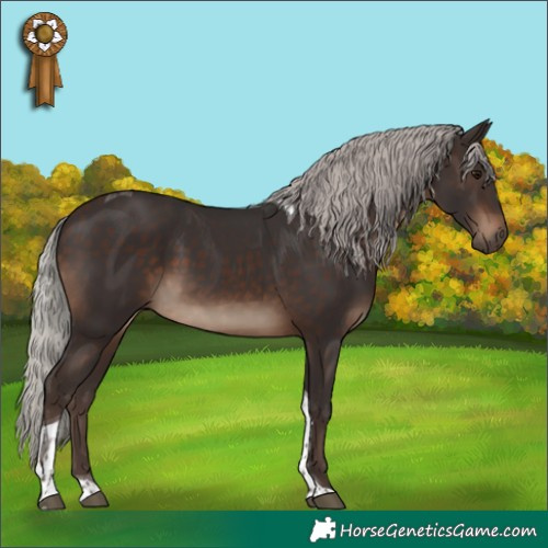 Horse Color:Silver Brown Tobiano 