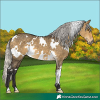 Horse Color:White Spotted Silver Buckskin Dun Mushroom 