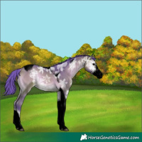 Horse Color:Void Watercolor Bay Ice Onyx Sabino Tobiano Appaloosa 