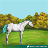 Horse Color:Painted White Spotted Chocolate Silver Grullo Chinchilla Rabicano