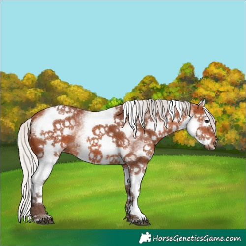 Horse Color:White Spotted Silver Bay Splash 