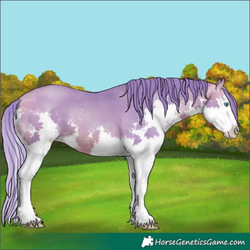 Horse Color:Watercolor Brown Pearl Splash 