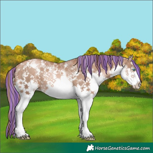 Horse Color:Painted Liver Chestnut Pearl Sabino Splash 