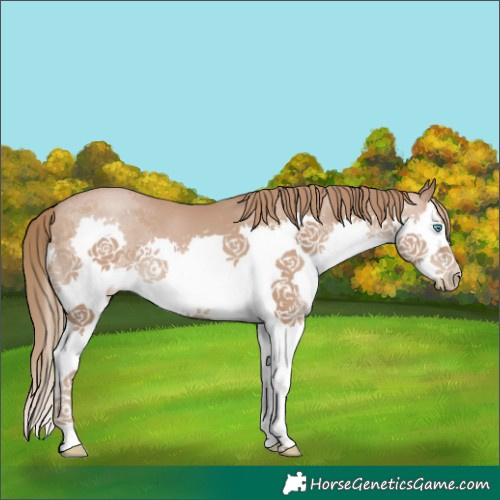 Horse Color:Black Pearl Splash 