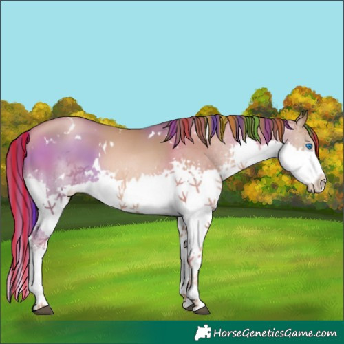Horse Color:Painted White Spotted Liver Chestnut Pearl Splash