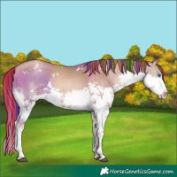 Horse Color:Painted White Spotted Liver Chestnut Pearl Splash 