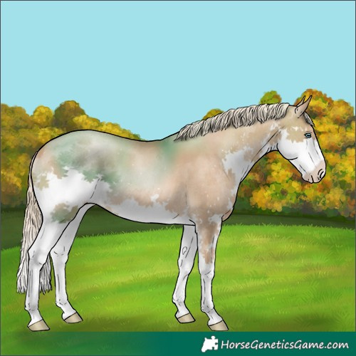 Horse Color:Chocolate Palomino Pearl Splash 