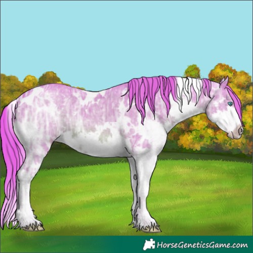 Horse Color:Watercolor White Spotted Liver Chestnut Ice Splash 