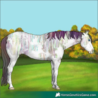 Horse Color:Nacre White Spotted Brown Ice Splash 