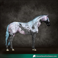 Horse Color:Void Watercolor Bay Ice Splash 