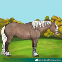 Horse Color:Liver Red Dun Mushroom Sabino Tobiano 
