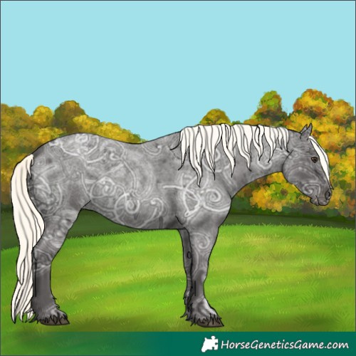 Horse Color:Liver Red Ice Roan Mushroom Rabicano 
