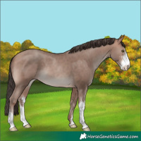 Horse Color:Amber Champagne Mushroom Sabino Rabicano 