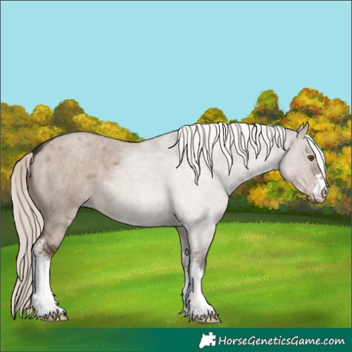 Horse Color:Liver Red Dun Roan Mushroom Sabino 