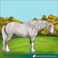 Horse Color:Liver Red Dun Roan Mushroom Sabino 