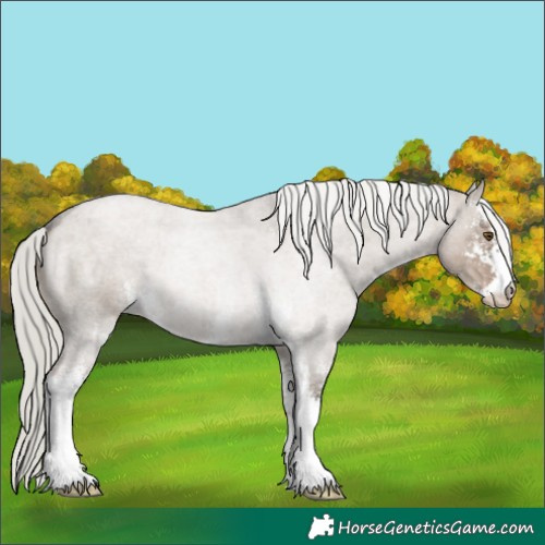 Horse Color:Liver Red Dun Roan Mushroom Sabino 