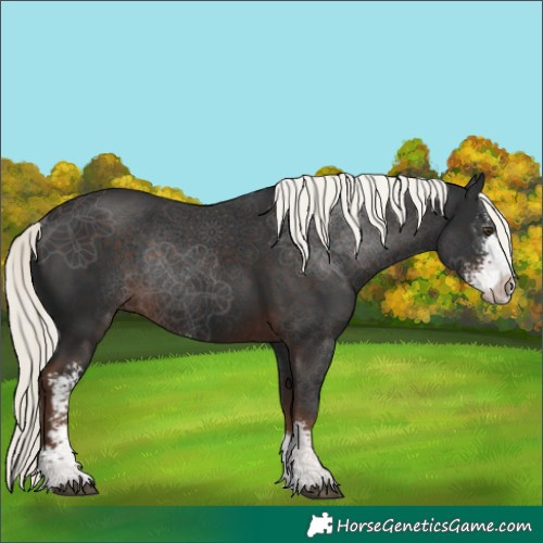 Horse Color:Liver Chestnut Mushroom Sabino Rabicano 