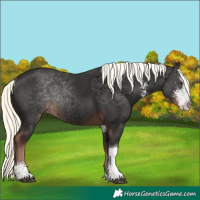 Horse Color:Liver Chestnut Mushroom Sabino Rabicano 