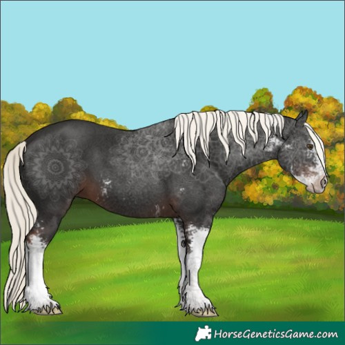 Horse Color:Liver Chestnut Mushroom Sabino 