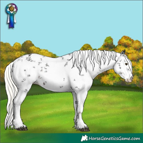 Horse Color:White Spotted Liver Chestnut Mushroom Sabino 