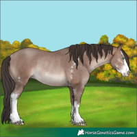 Horse Color:Sable Champagne Mushroom Sabino Rabicano 