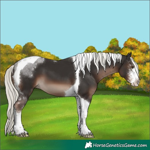 Horse Color:Liver Chestnut Mushroom Sabino Tobiano