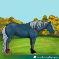 Horse Color:ERROR: UNKNOWN ANOMALY