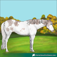 Horse Color:Platinum White Spotted Chestnut Splash 
